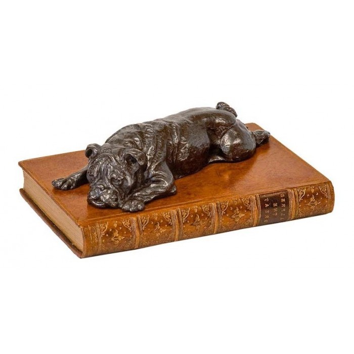 Paper Weight Boxer Book